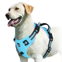 Harnais gilet pour chien | AjustConfort
