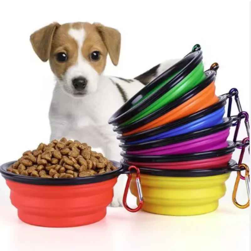 Bol compagnon pliable