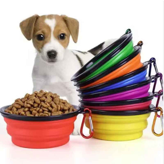 Bol compagnon pliable