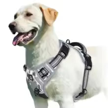 Harnais gilet pour chien | AjustConfort
