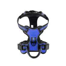 Harnais flexible bleu