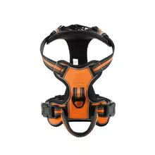 Harnais flexible orange