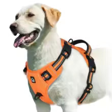 Harnais gilet pour chien | AjustConfort