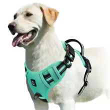 Harnais gilet pour chien | AjustConfort