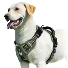 Harnais gilet pour chien | AjustConfort