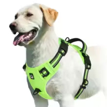 Harnais gilet pour chien | AjustConfort