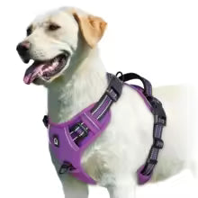 Harnais gilet pour chien | AjustConfort