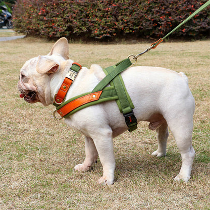 chien vu profil avec harnais anti traction
