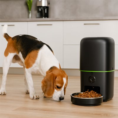 Distributeur automatique croquettes