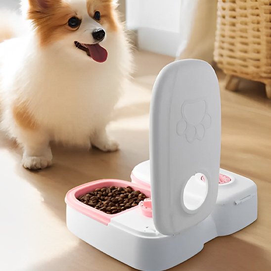 distributeur croquette automatique