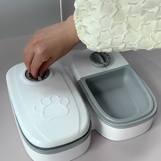 distributeur croquette automatique