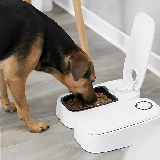 distributeur croquette automatique