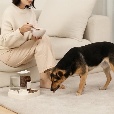 Distributeur croquette Chien