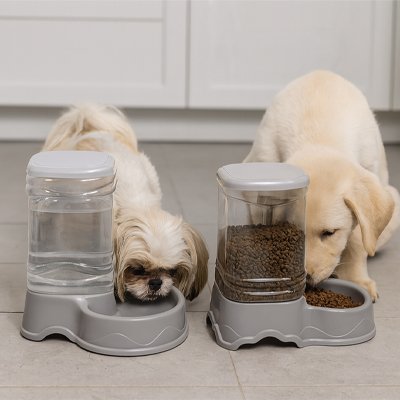 Distributeur croquette Chien