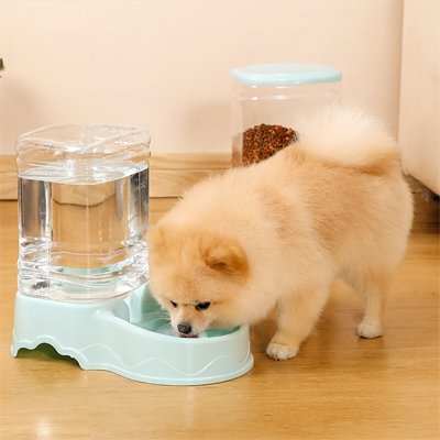 Distributeur croquette Chien