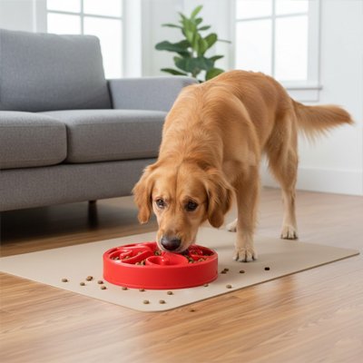 Gamelle anti glouton Chien 