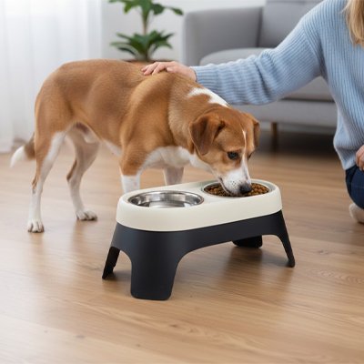 Gamelle chien surélevée 
