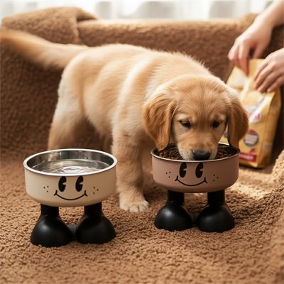 Gamelle chien surélevée 