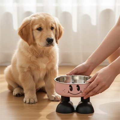Gamelle chien surélevée 