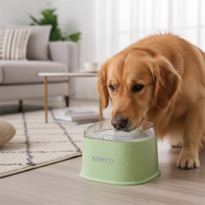 Gamelle chien 
