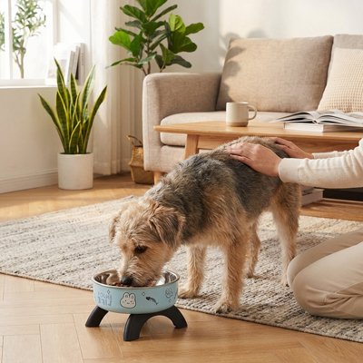 Gamelle pour chien 