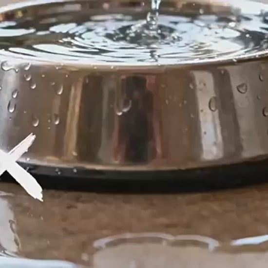 Video mangeoire