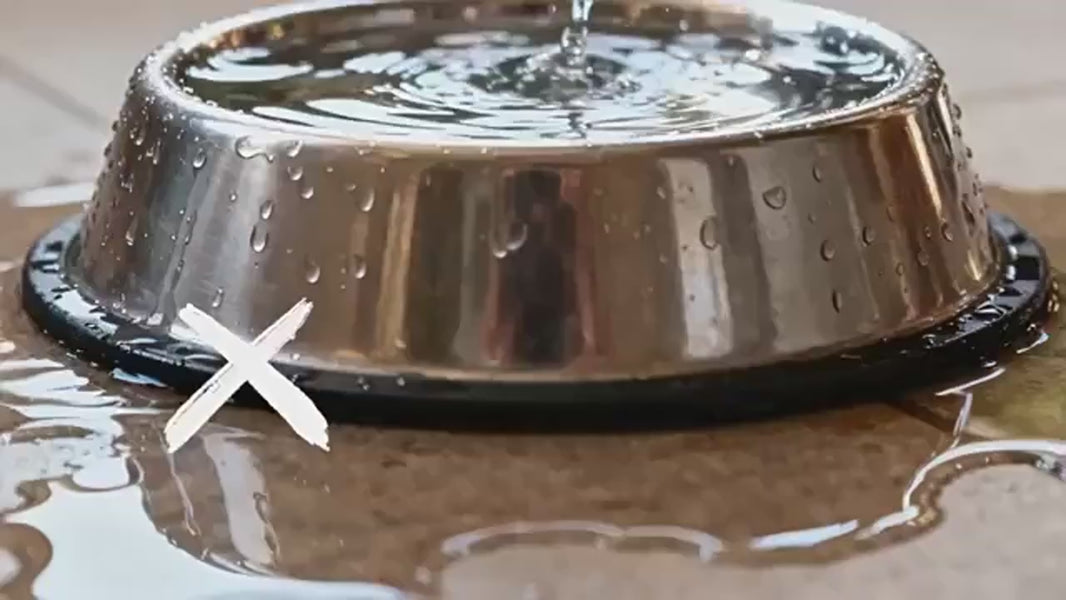 Video mangeoire